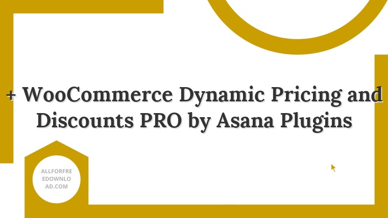 + WooCommerce Dynamic Pricing and Discounts PRO by Asana Plugins