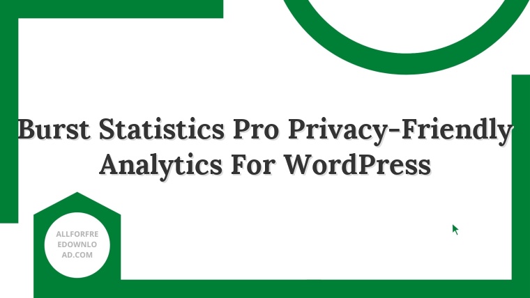 Burst Statistics Pro Privacy-Friendly Analytics For WordPress